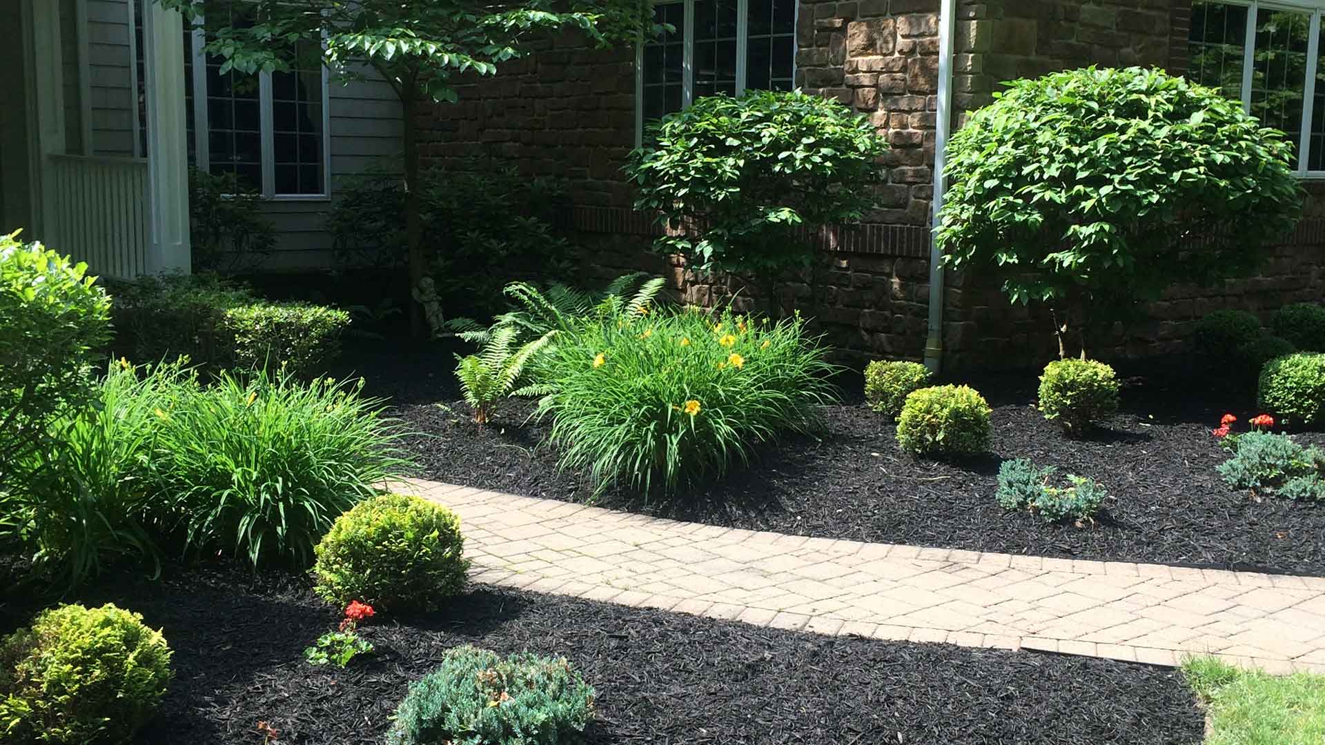 A stunning new landscape bed with black mulch and new plants in Madison, OH.