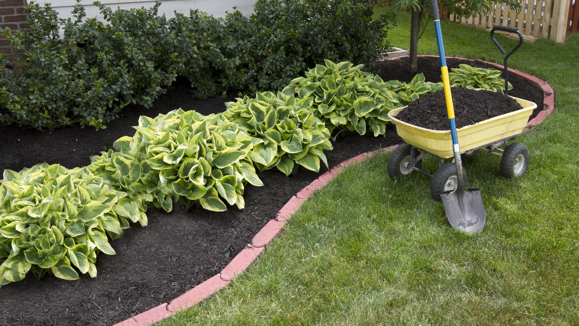 How Often Do You Need To Be Refreshing the Mulch in Your Landscape Beds?