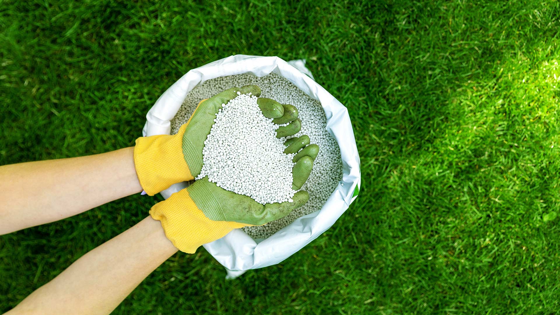 A beautifully healthy lawn with a lawn care professional scooping fertilizer from a bag in Perry, OH.