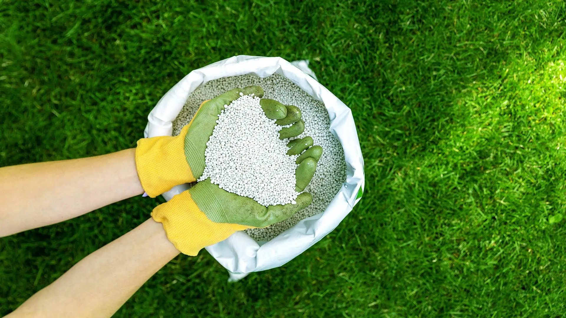 A beautifully healthy lawn with a lawn care professional scooping fertilizer from a bag in Perry, OH.