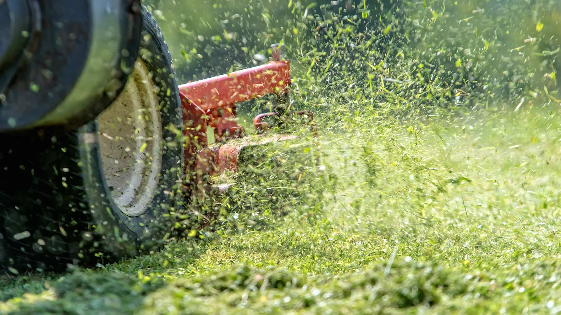 Lawn mower up close cutting grass on a healthy lawn near Madison, OH.