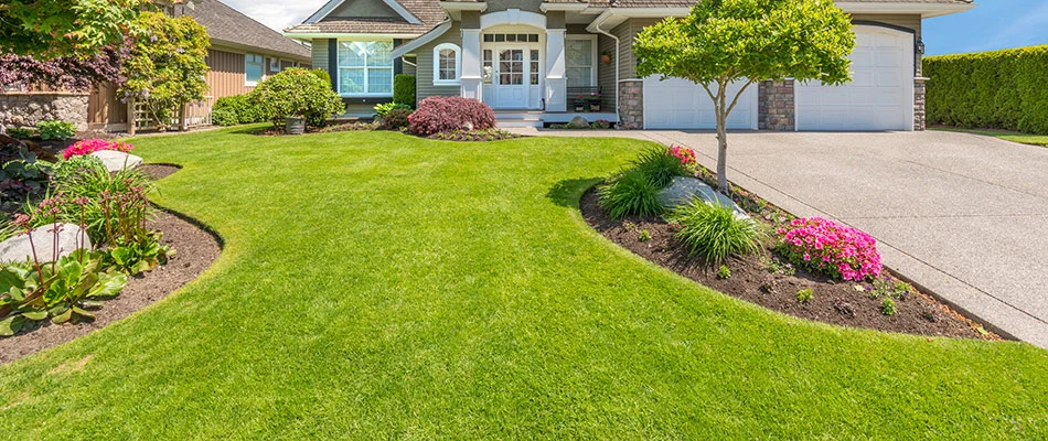 Stunningly healthy lawn that has been fertilized and aerated in Painesville, OH.