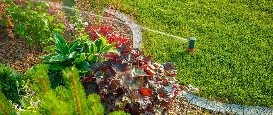 Irrigation watering lawn and landscape bed in the morning near Ashtabula, OH.