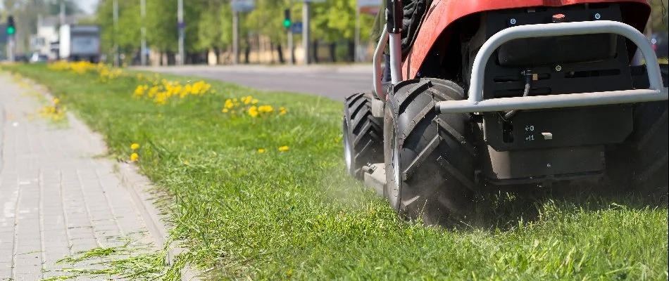 Landscape Grass Cutting
