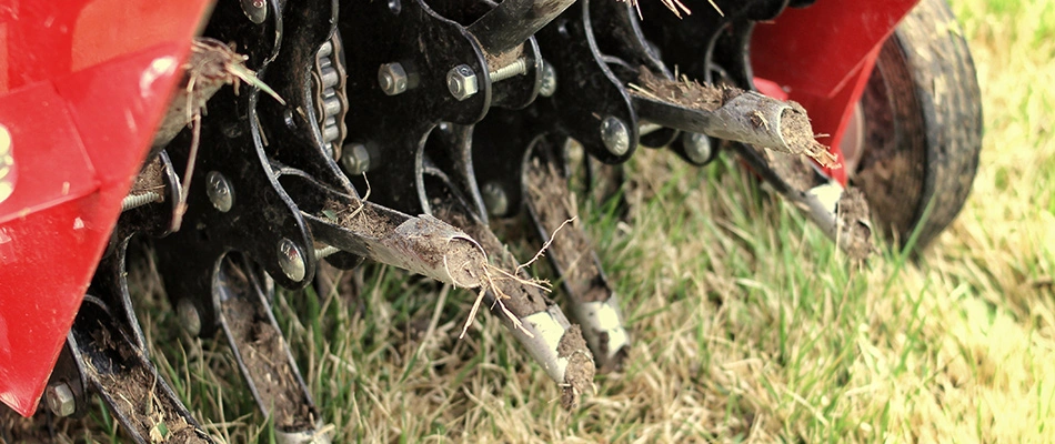 Aeration machine pulling plugs from a lawn in Jefferson, OH.