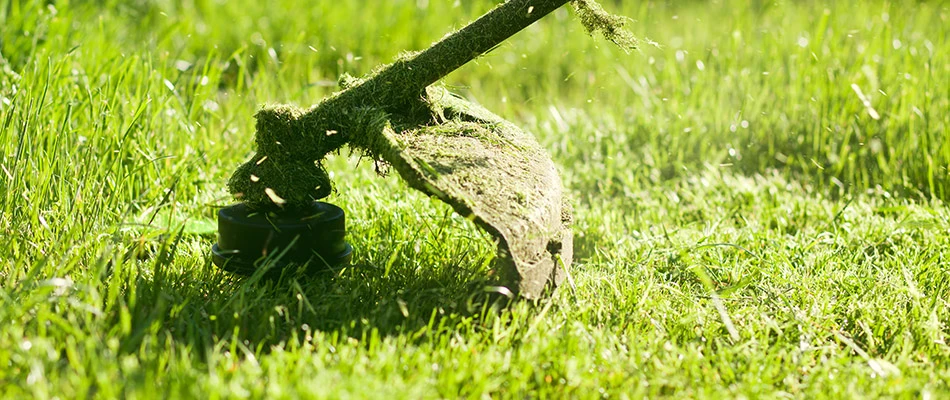 String trimmer shaping the edge of a lawn near Ashtabula, OH.