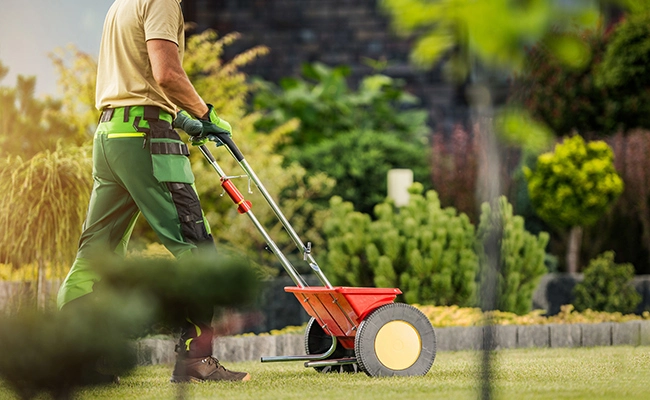 Lawn fertilizer expert spreading granular fertilizer over a lawn in Madison, OH.