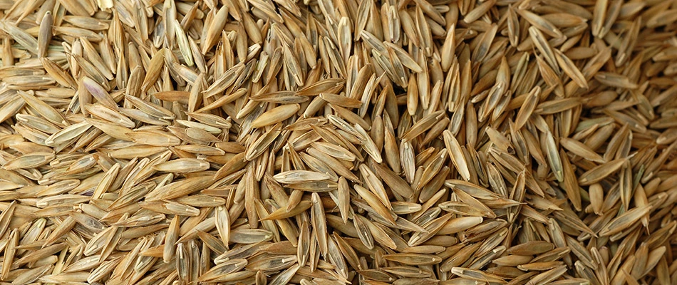 A pile of seeds ready to be fed to a lawn in and around Ashtabula, OH.