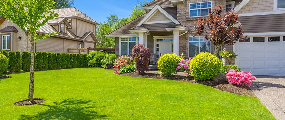 A beautiful, stunning lawn with perfectly healthy grass near Perry, OH.