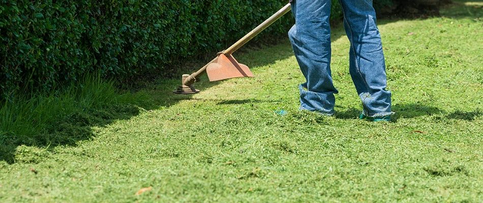 A beautiful lawn surrounded by trimmed hedges being maintained by a professional in and around Geneva, OH.