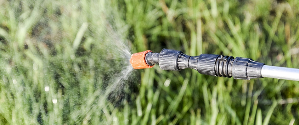 Spraying a lawn with pre-emergent weed control in Perry, OH.