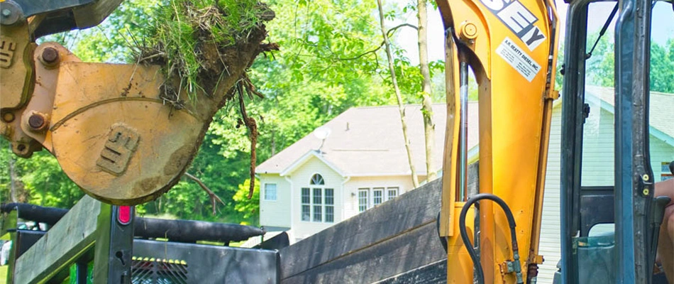 Mini excavator digging up a lawn for landscaping work near Madison, OH.