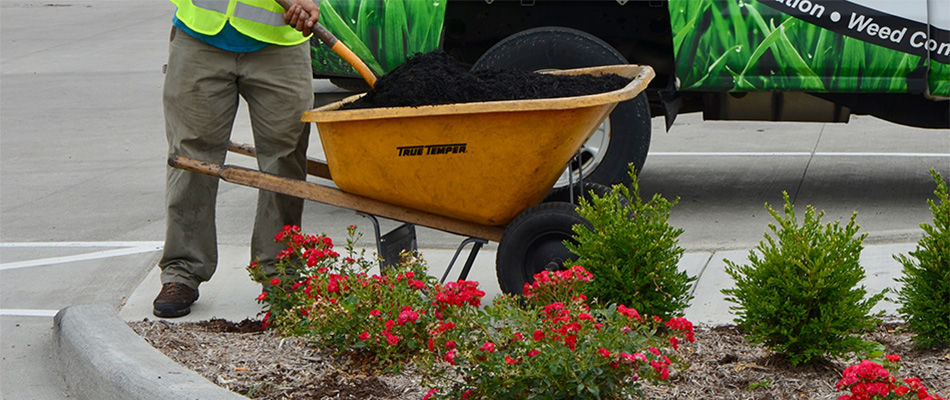 Mulch being added to a landscape bed by a professional in Geneva, OH.