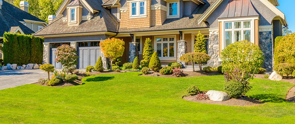 Gorgeously cared-for lawn with vibrant green blades of grass in Perry, OH.