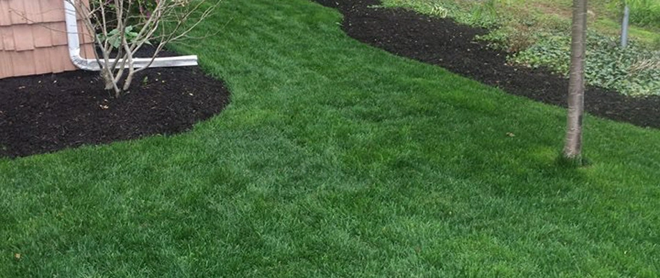A serviced lawn by professionals in Concord, OH.