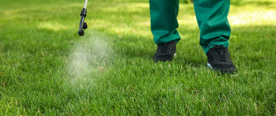 A grub control solution is being applied to a lawn near Madison, OH.