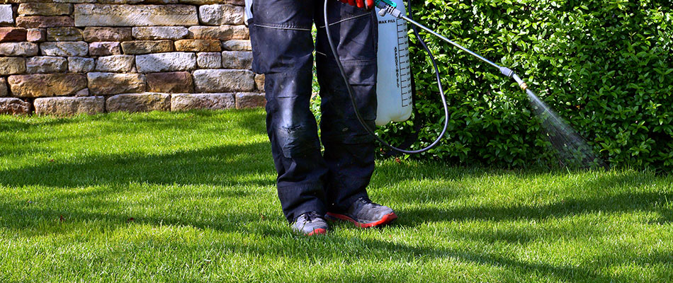 Expert applying a powerful flea and tick control solution to a lawn in Perry, OH.