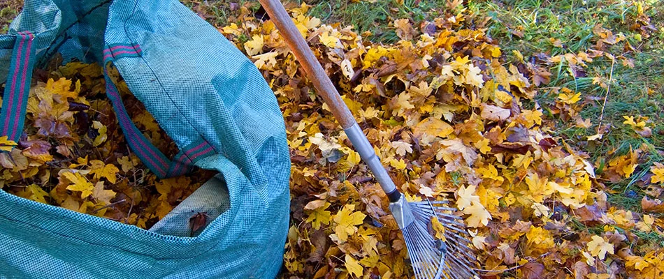 A pile of leaves being cleaned up in Ashtabula, OH and nearby areas.